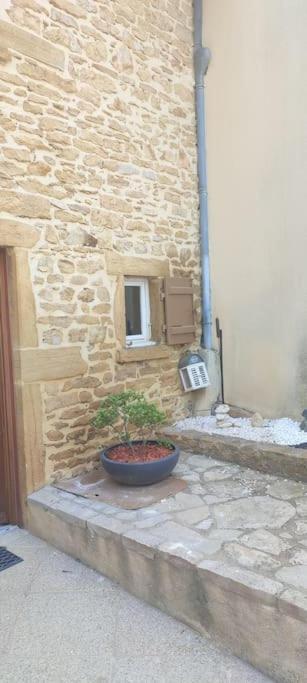 Le Gite Des Pierres Dorees Marcilly-d'Azergues Exteriör bild